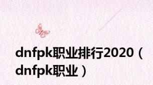 dnfpk职业排行2020（dnfpk职业）