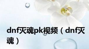 dnf灭魂pk视频（dnf灭魂）