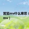 苦笑mv什么意思（苦笑mv）