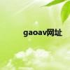 gaoav网址