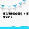 神马浮云是成语吗?（神马浮云的意思）