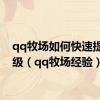 qq牧场如何快速提升等级（qq牧场经验）