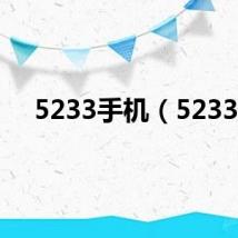 5233手机（5233）