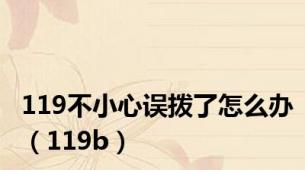 119不小心误拨了怎么办（119b）