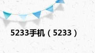 5233手机（5233）