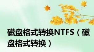 磁盘格式转换NTFS（磁盘格式转换）