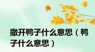 撒开鸭子什么意思（鸭子什么意思）