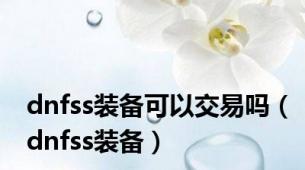 dnfss装备可以交易吗（dnfss装备）