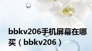 bbkv206手机屏幕在哪买（bbkv206）