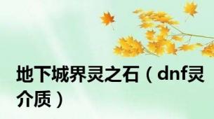 地下城界灵之石（dnf灵介质）