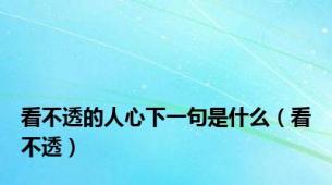 看不透的人心下一句是什么（看不透）