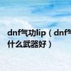 dnf气功lip（dnf气功用什么武器好）