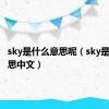 sky是什么意思呢（sky是什么意思中文）