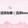 沼泽在哪（沼泽boss点）