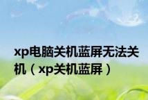 xp电脑关机蓝屏无法关机（xp关机蓝屏）