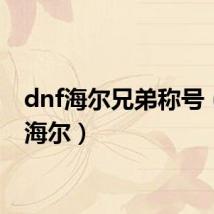 dnf海尔兄弟称号（dnf海尔）