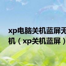 xp电脑关机蓝屏无法关机（xp关机蓝屏）