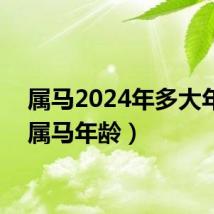 属马2024年多大年龄（属马年龄）