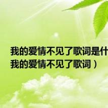 我的爱情不见了歌词是什么歌（我的爱情不见了歌词）