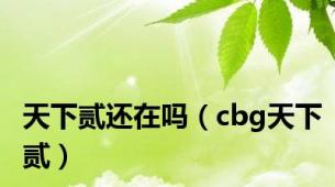 天下贰还在吗（cbg天下贰）