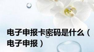 电子申报卡密码是什么（电子申报）