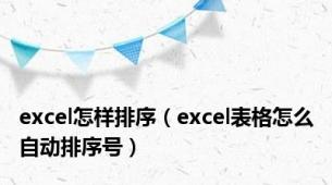 excel怎样排序（excel表格怎么自动排序号）