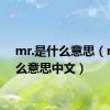 mr.是什么意思（mr什么意思中文）