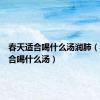 春天适合喝什么汤润肺（春天适合喝什么汤）