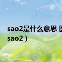 sao2是什么意思 医学（sao2）