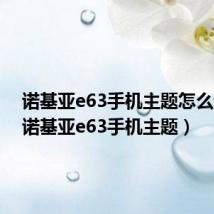 诺基亚e63手机主题怎么设置（诺基亚e63手机主题）