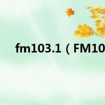 fm103.1（FM10）