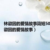 林徽因的爱情故事简短50字（林徽因的爱情故事）