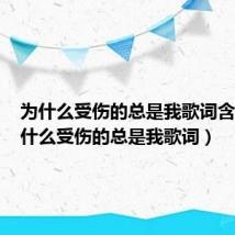 为什么受伤的总是我歌词含义（为什么受伤的总是我歌词）