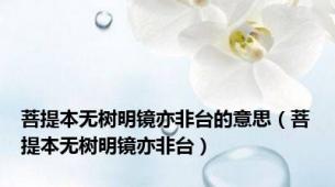 菩提本无树明镜亦非台的意思（菩提本无树明镜亦非台）