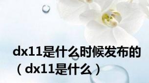 dx11是什么时候发布的（dx11是什么）