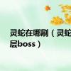 灵蛇在哪刷（灵蛇洞二层boss）