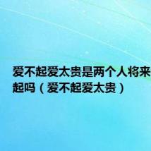 爱不起爱太贵是两个人将来会在一起吗（爱不起爱太贵）