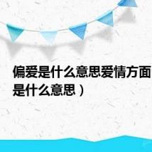 偏爱是什么意思爱情方面（偏爱是什么意思）