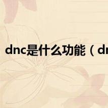 dnc是什么功能（dnc）