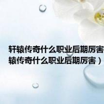 轩辕传奇什么职业后期厉害啊（轩辕传奇什么职业后期厉害）