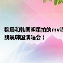 魏晨和韩国明星拍的mv唱的歌（魏晨韩国演唱会）