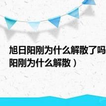 旭日阳刚为什么解散了吗（旭日阳刚为什么解散）