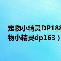 宠物小精灵DP188（宠物小精灵dp163）