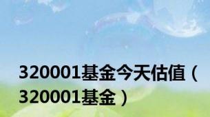 320001基金今天估值（320001基金）