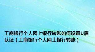 工商银行个人网上银行转账如何设置U盾认证（工商银行个人网上银行转账）