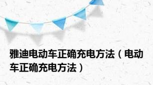 雅迪电动车正确充电方法（电动车正确充电方法）