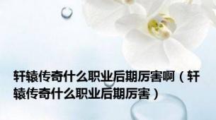 轩辕传奇什么职业后期厉害啊（轩辕传奇什么职业后期厉害）