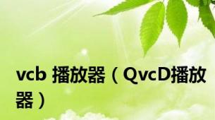 vcb 播放器（QvcD播放器）