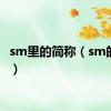 sm里的简称（sm的全称）