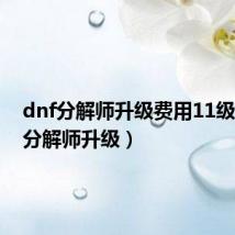 dnf分解师升级费用11级（dnf分解师升级）